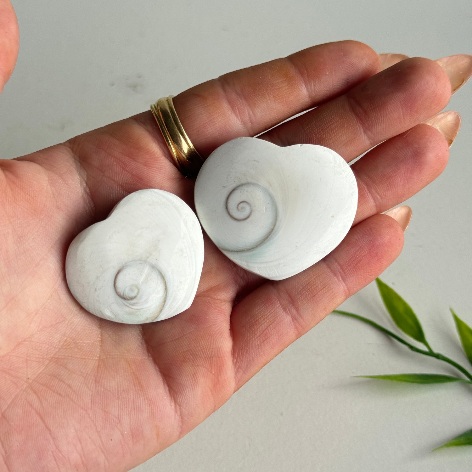 Shiva Eye Shell Hearts