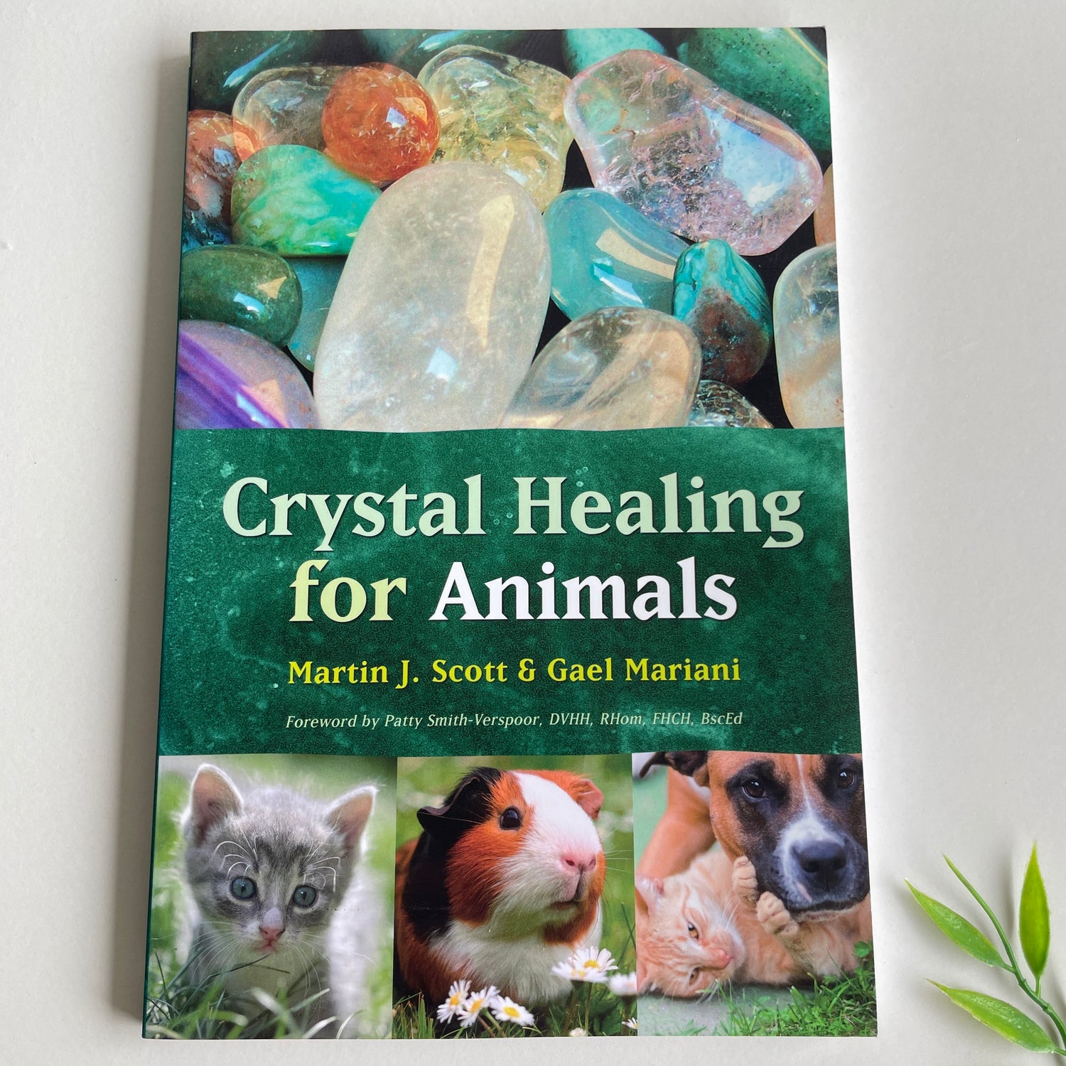 Crystal Healing for Animals Martin Scott