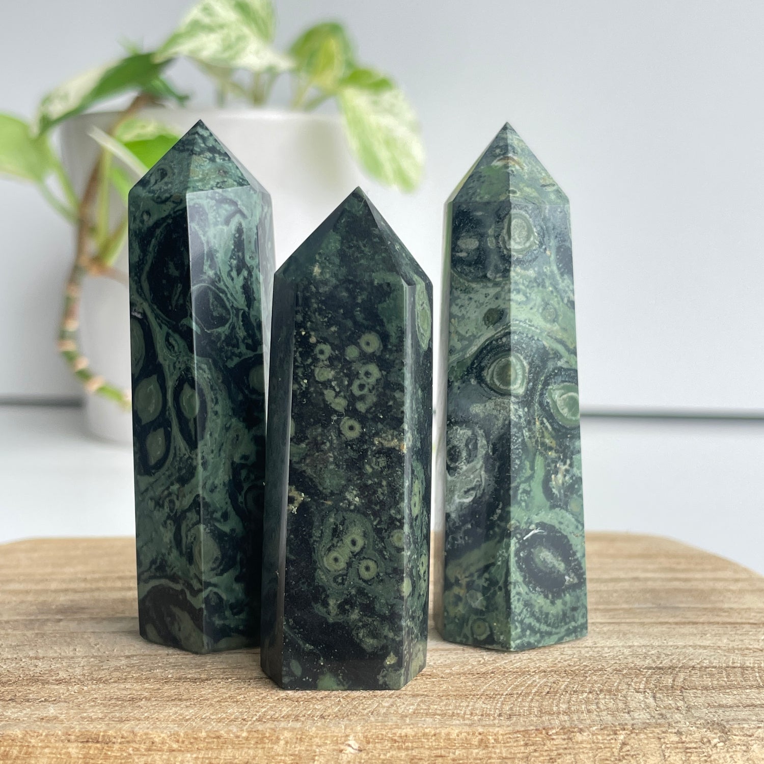 Kambaba Jasper Generator Small