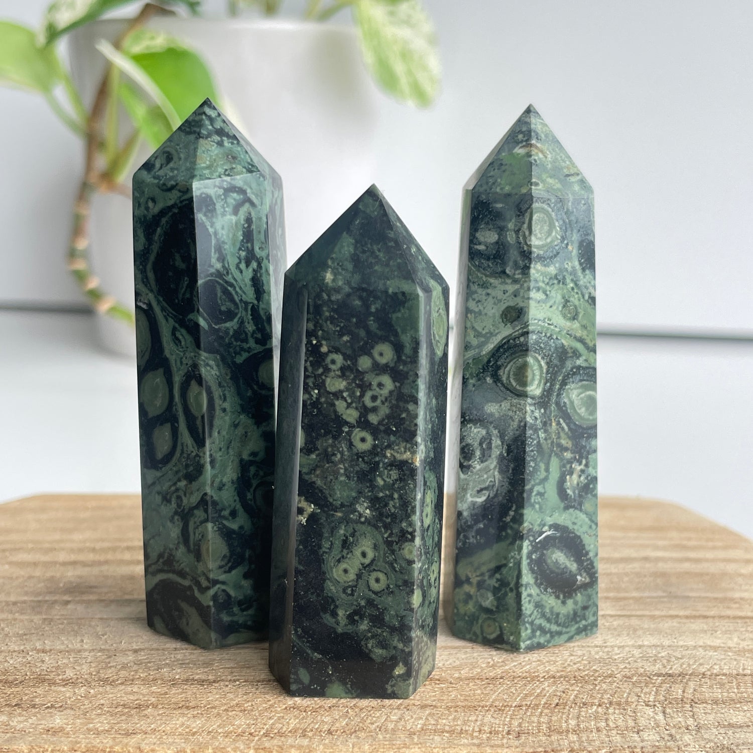 Kambaba Jasper Generator Small