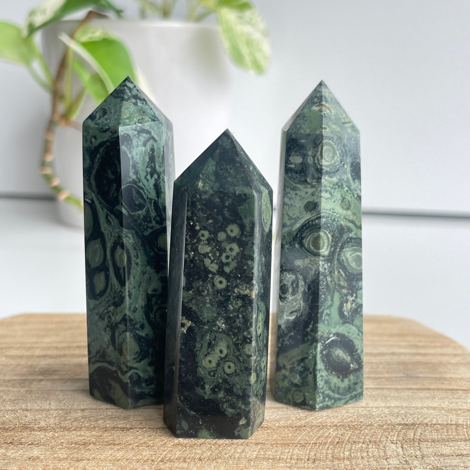 Kambaba Jasper Generator Small