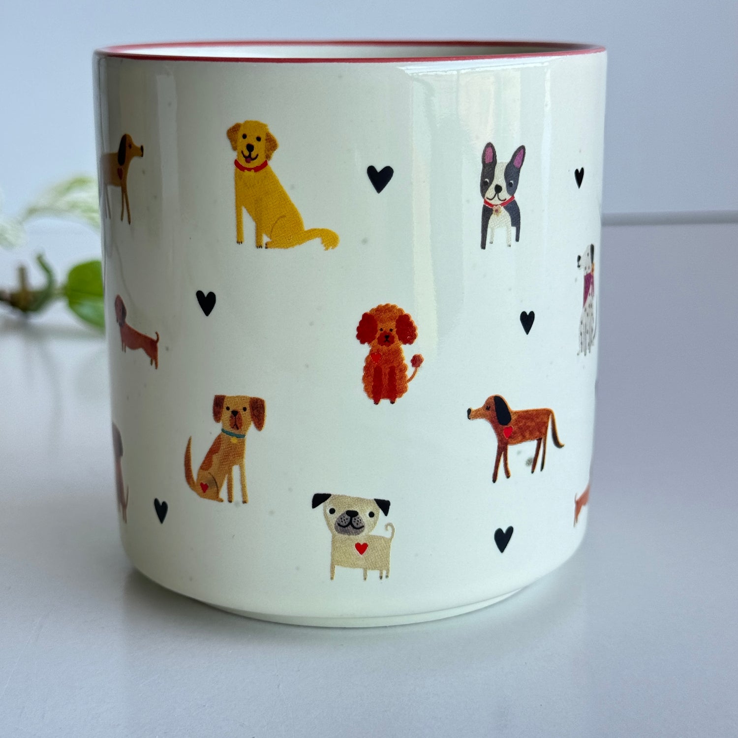 Perfect World Dog Mug Mug000080
