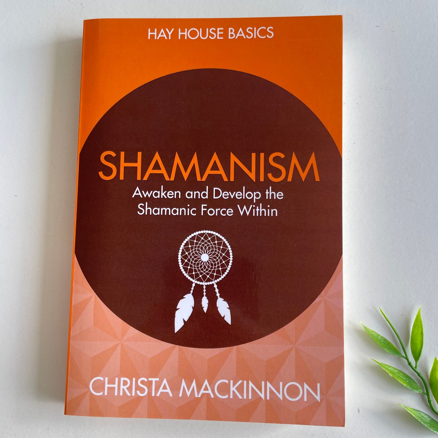 Hay House Basics Shamanism Awaken and Develop the Shamanic Force Within