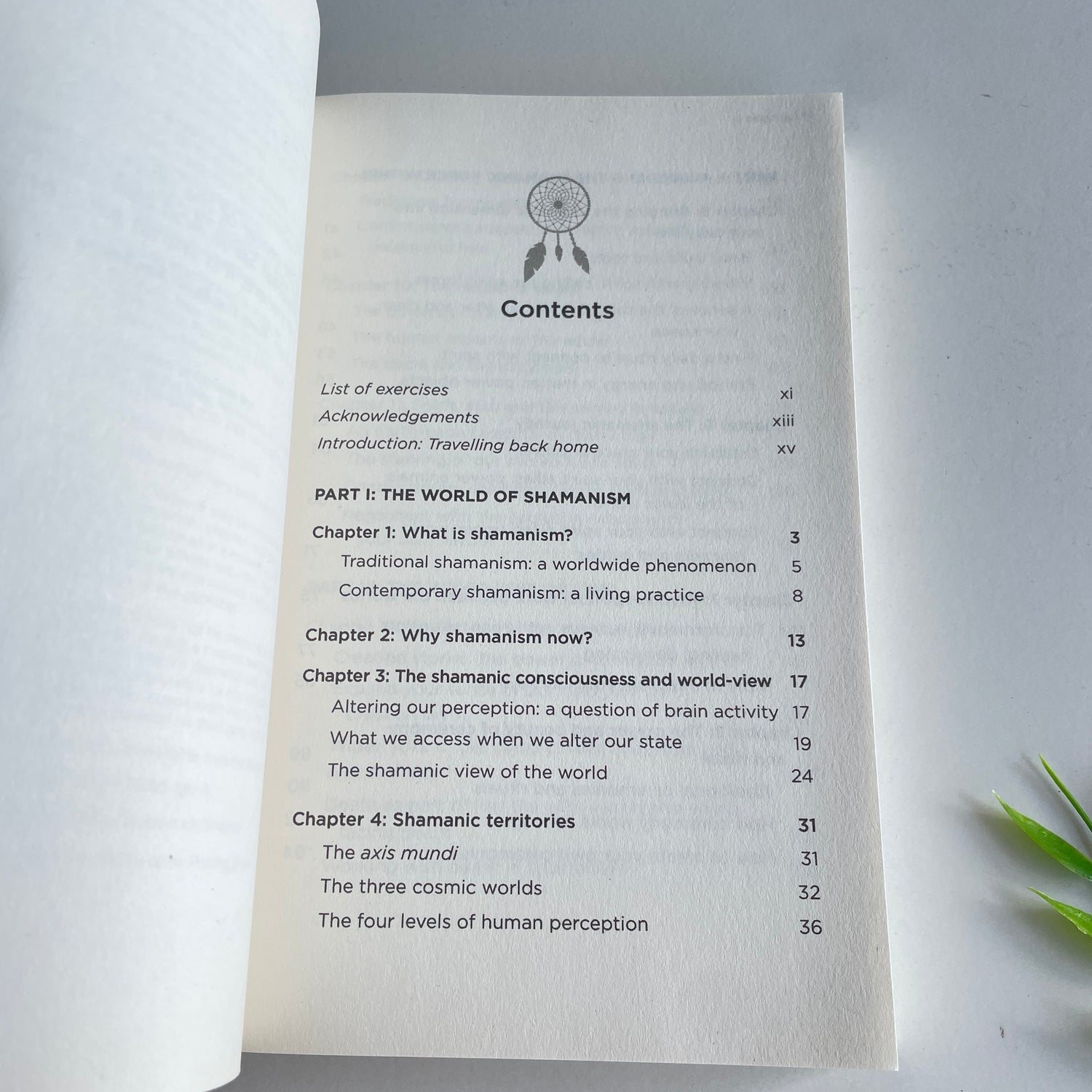 Hay House Basics Shamanism Awaken and Develop the Shamanic Force Within