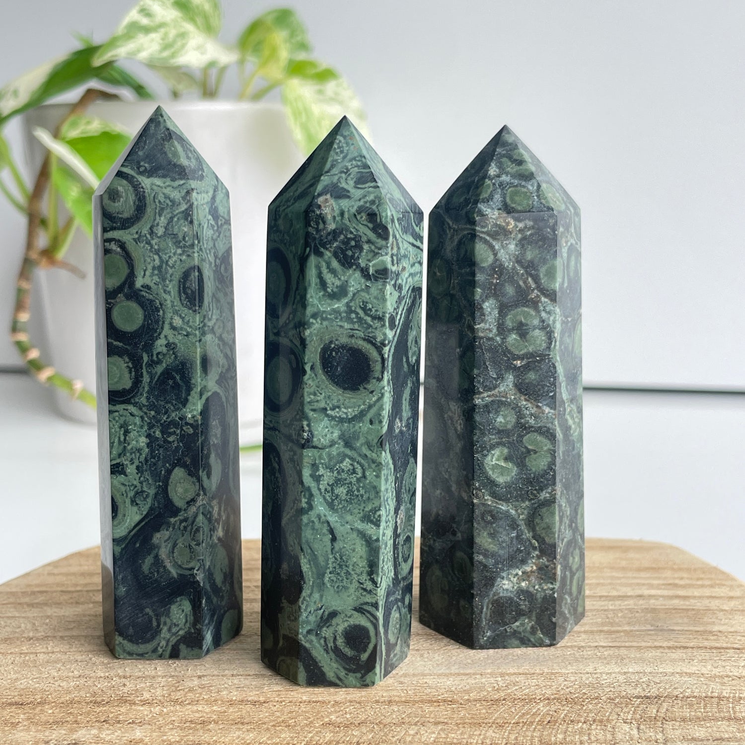 Kambaba Jasper Generator XL