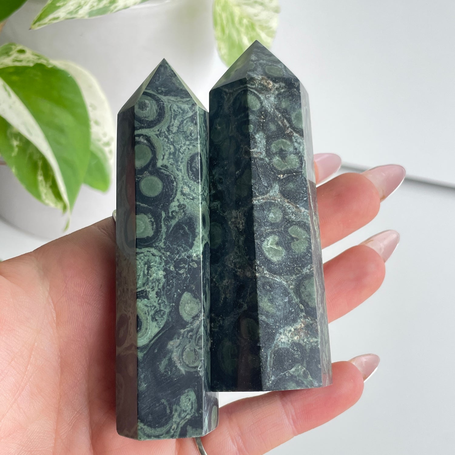 Kambaba Jasper Generator XL