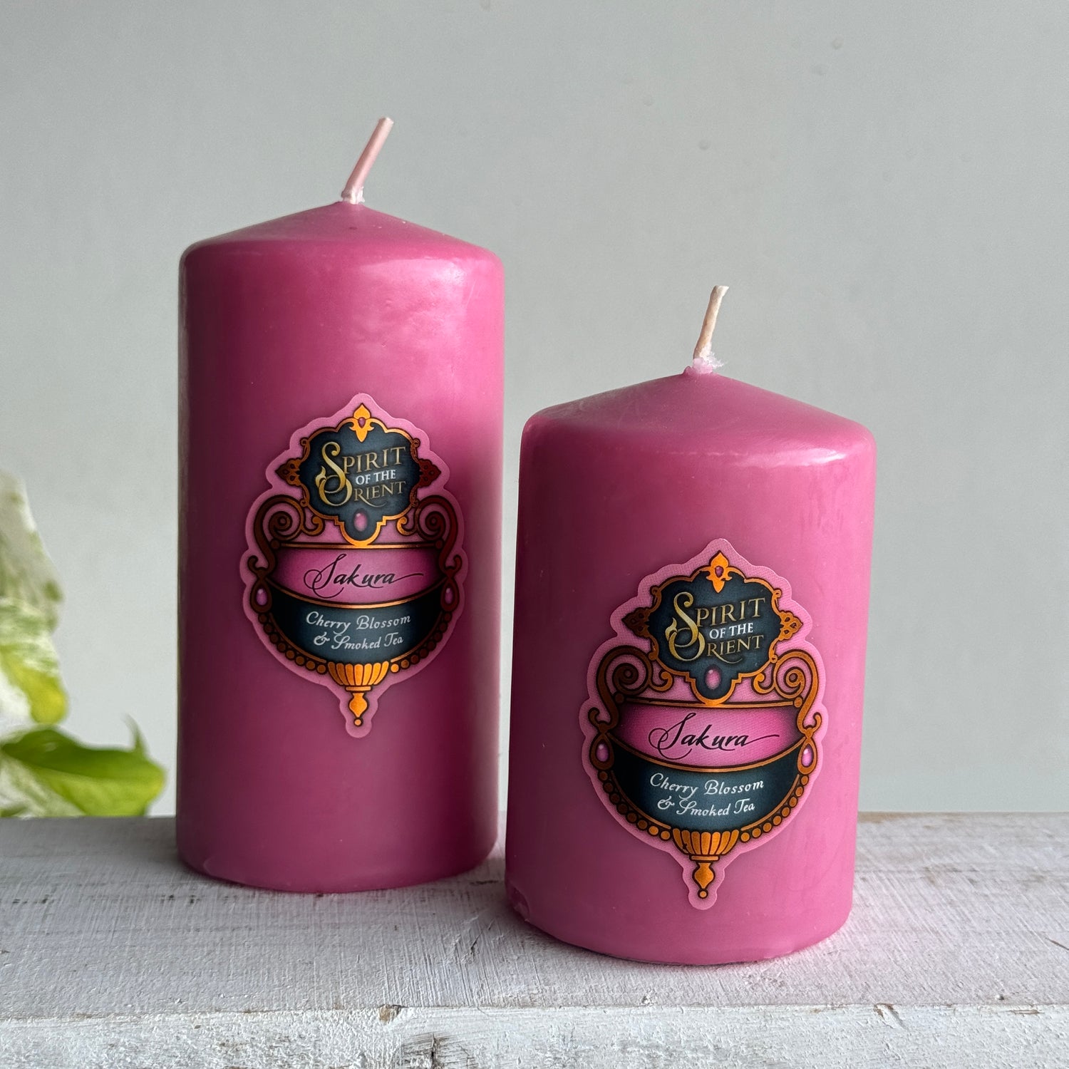 Spirit of the Orient Pillar Candle Sakura