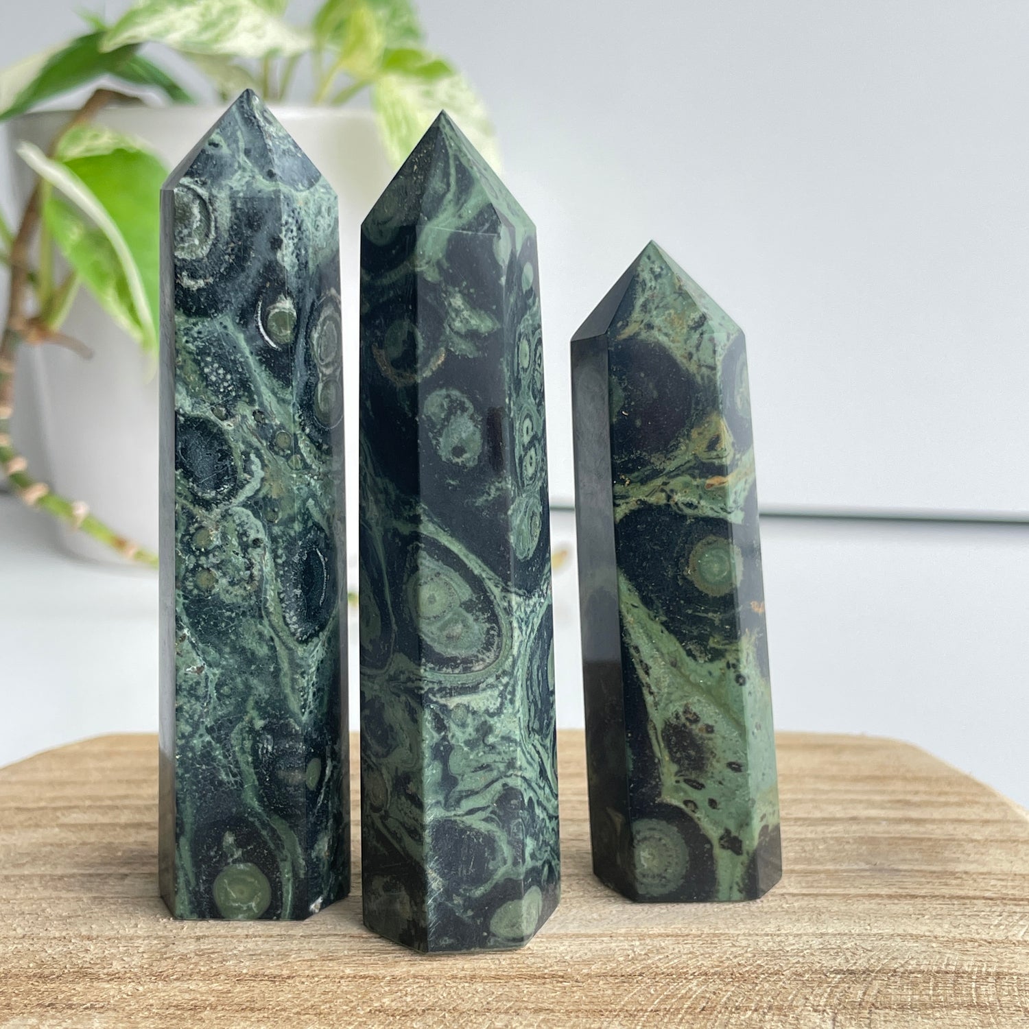 Kambaba Jasper Generator Medium