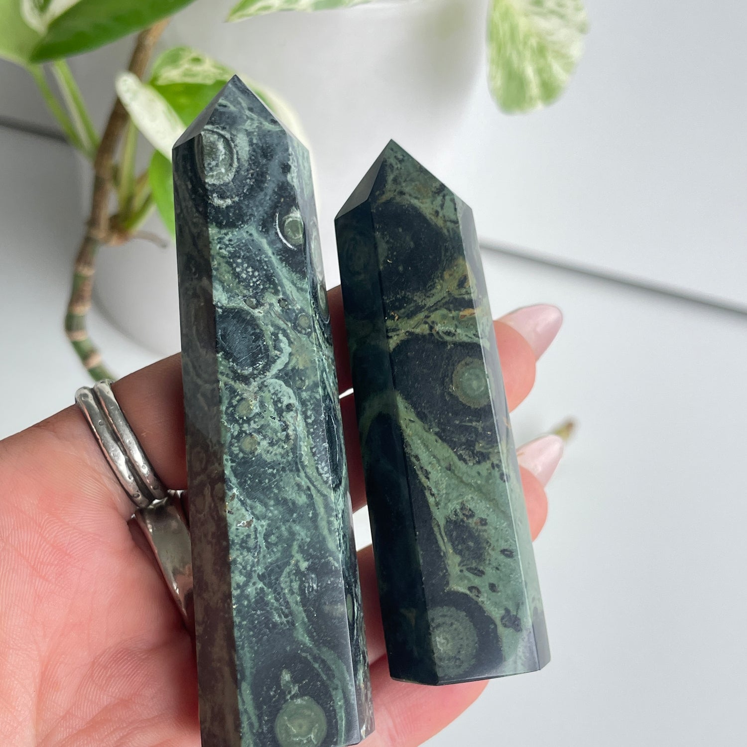 Kambaba Jasper Generator Medium