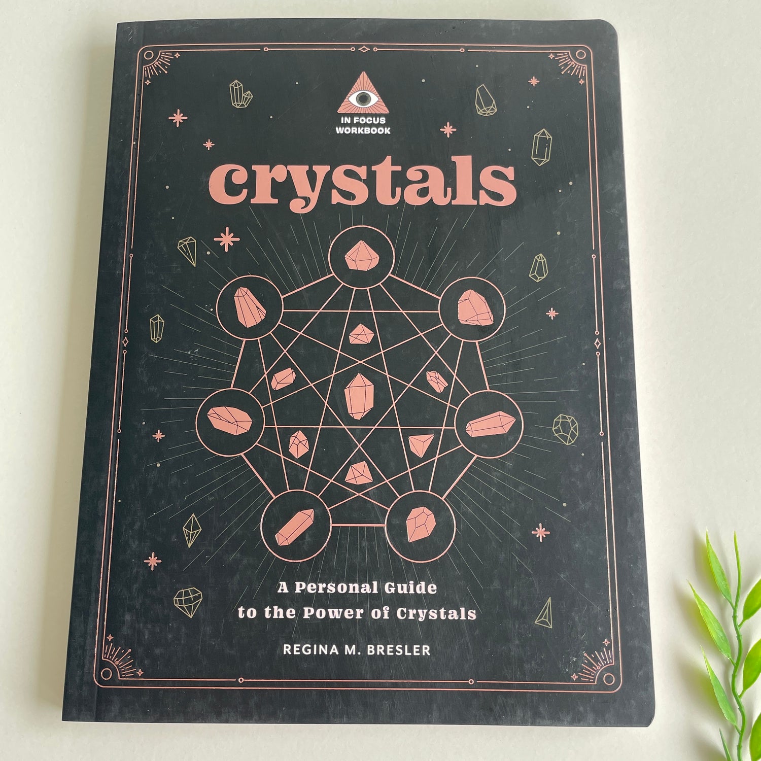 Crystal In Focus Workbook Regina Bresler