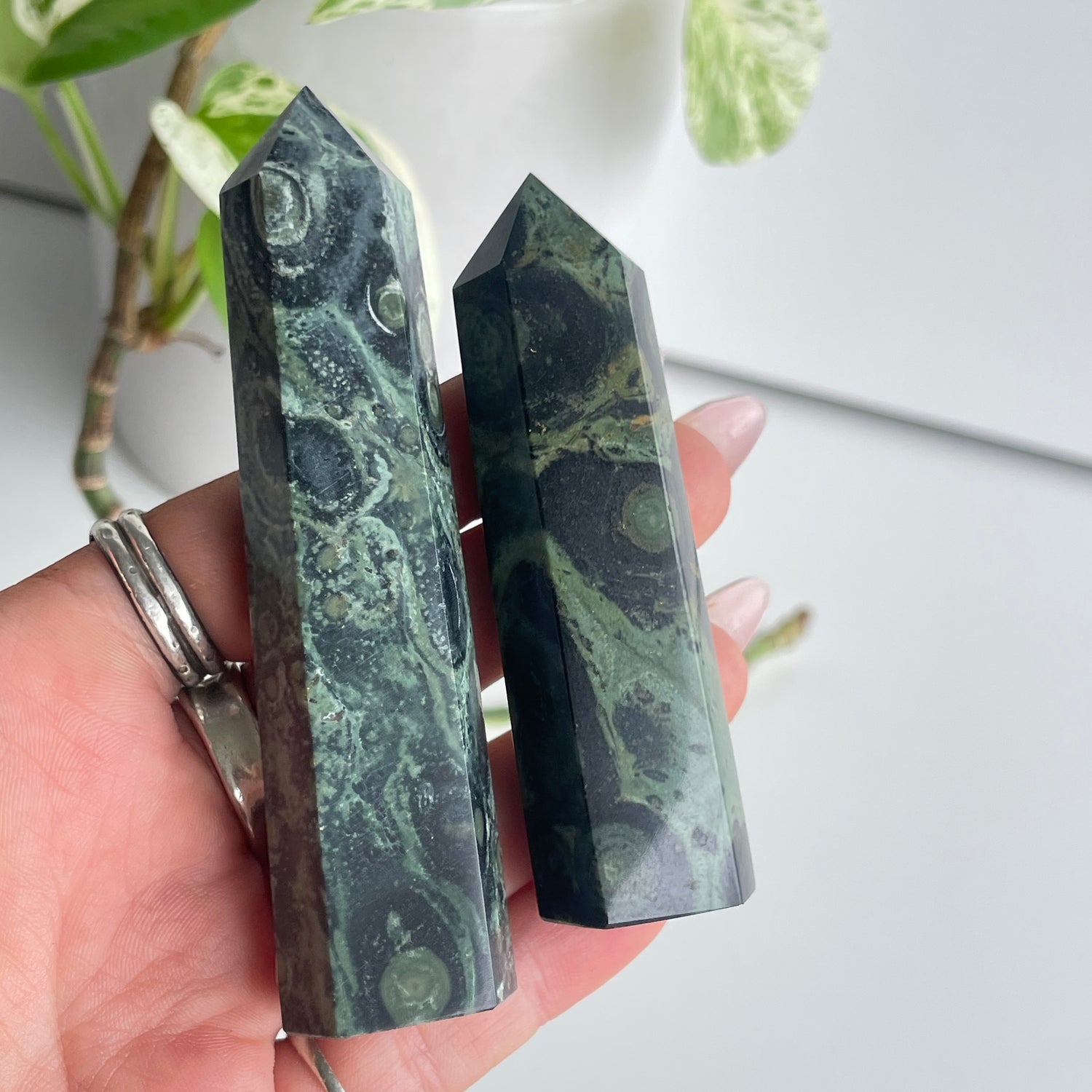 Kambaba Jasper Generator Medium