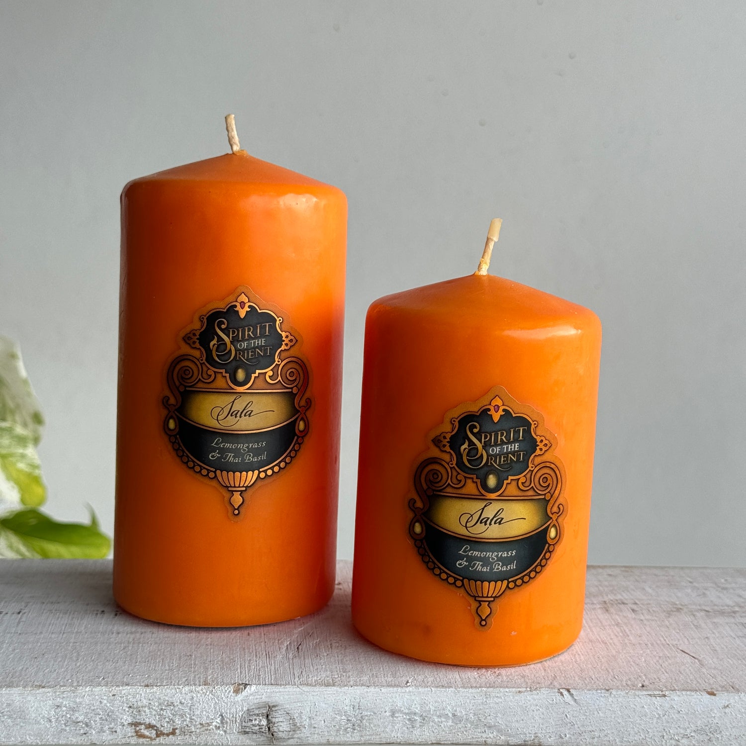 Spirit of the Orient Pillar Candle Sala