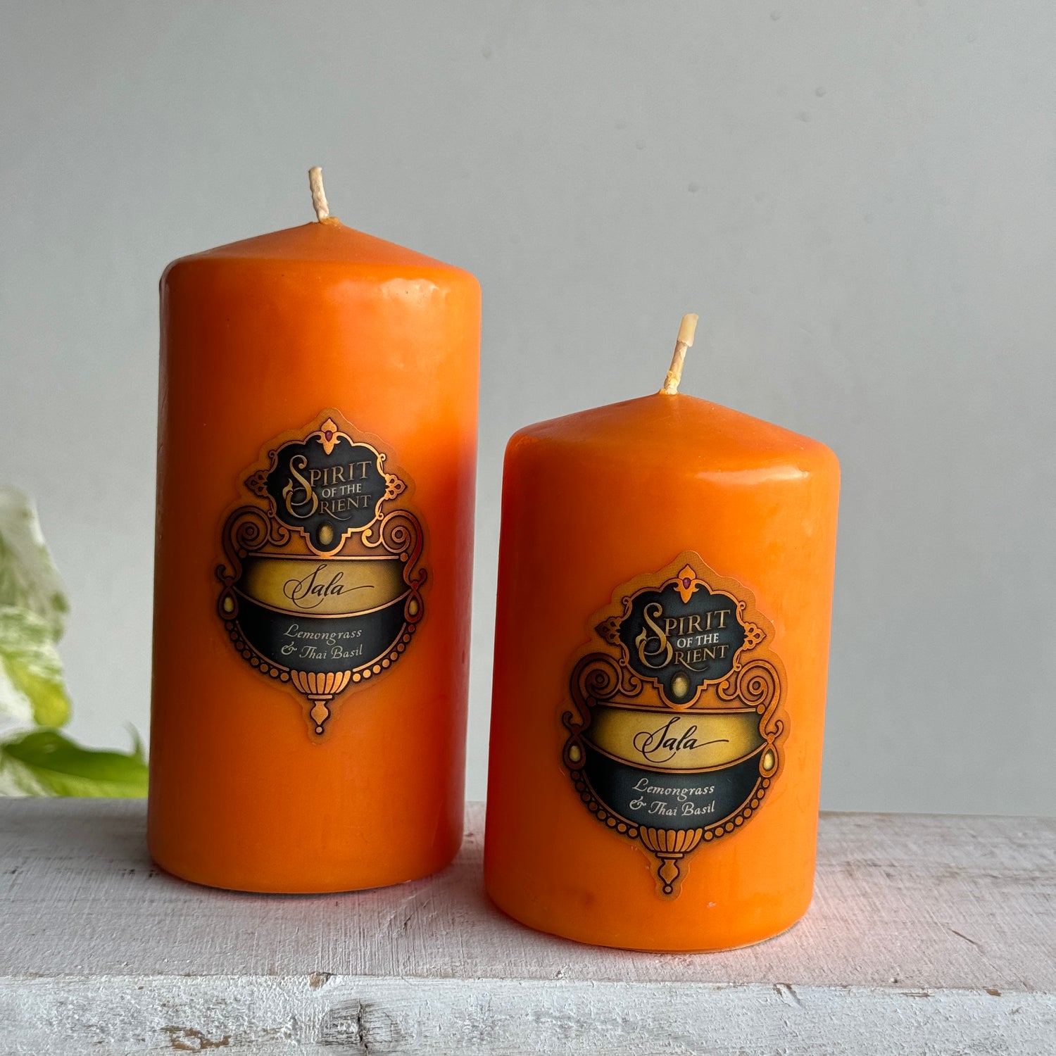 Spirit of the Orient Pillar Candle Sala