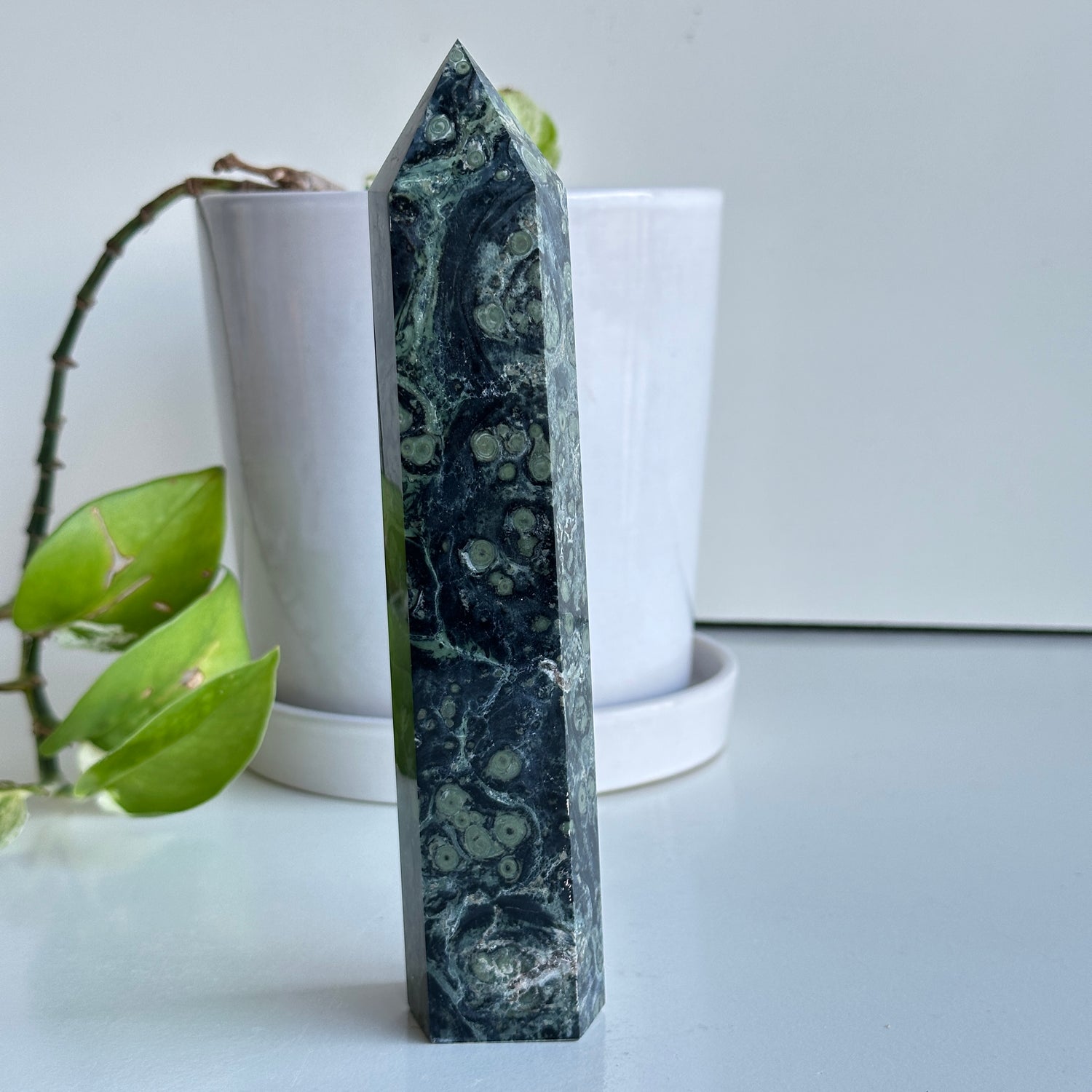 Kambaba Jasper Generator 17.9cm