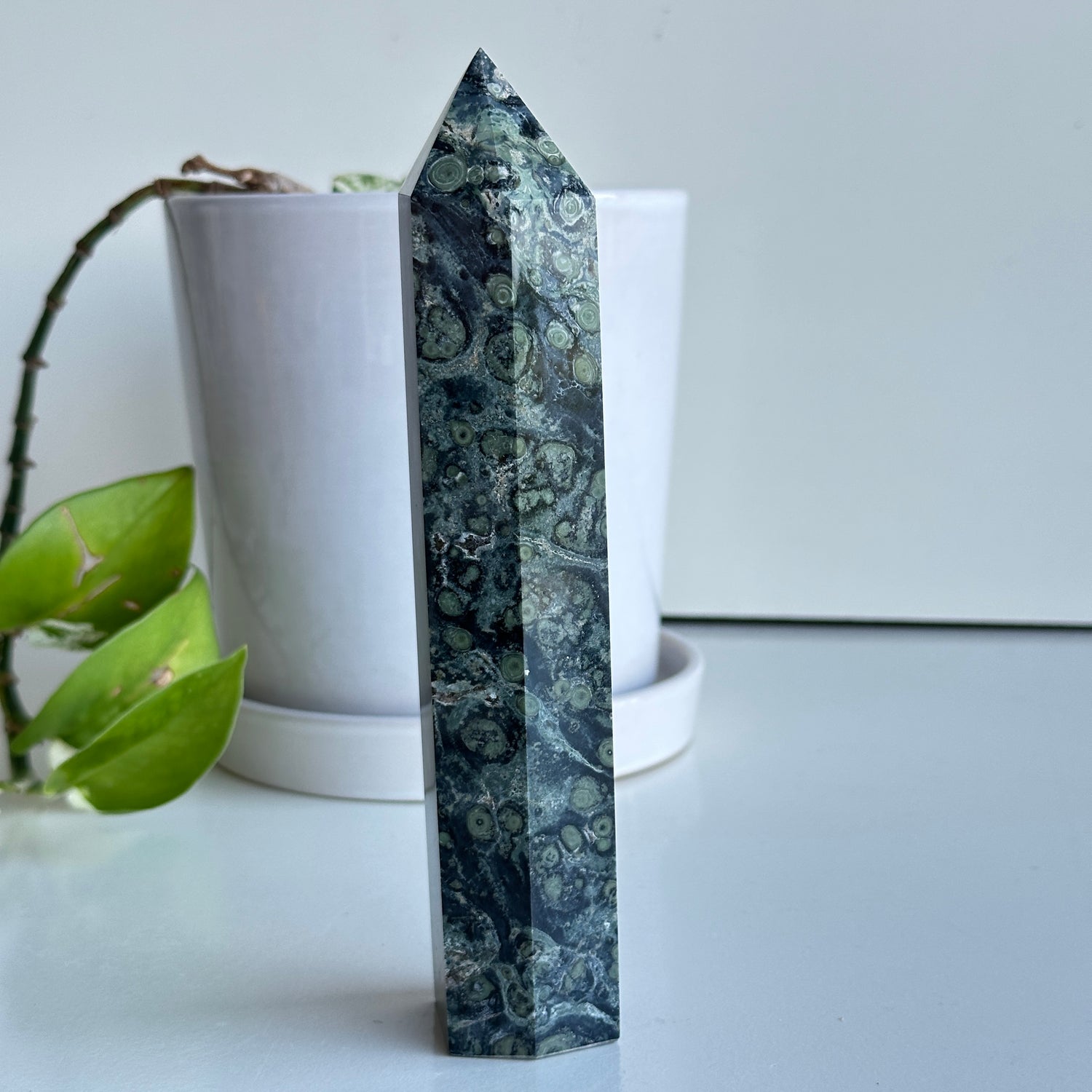 Kambaba Jasper Generator 17.9cm
