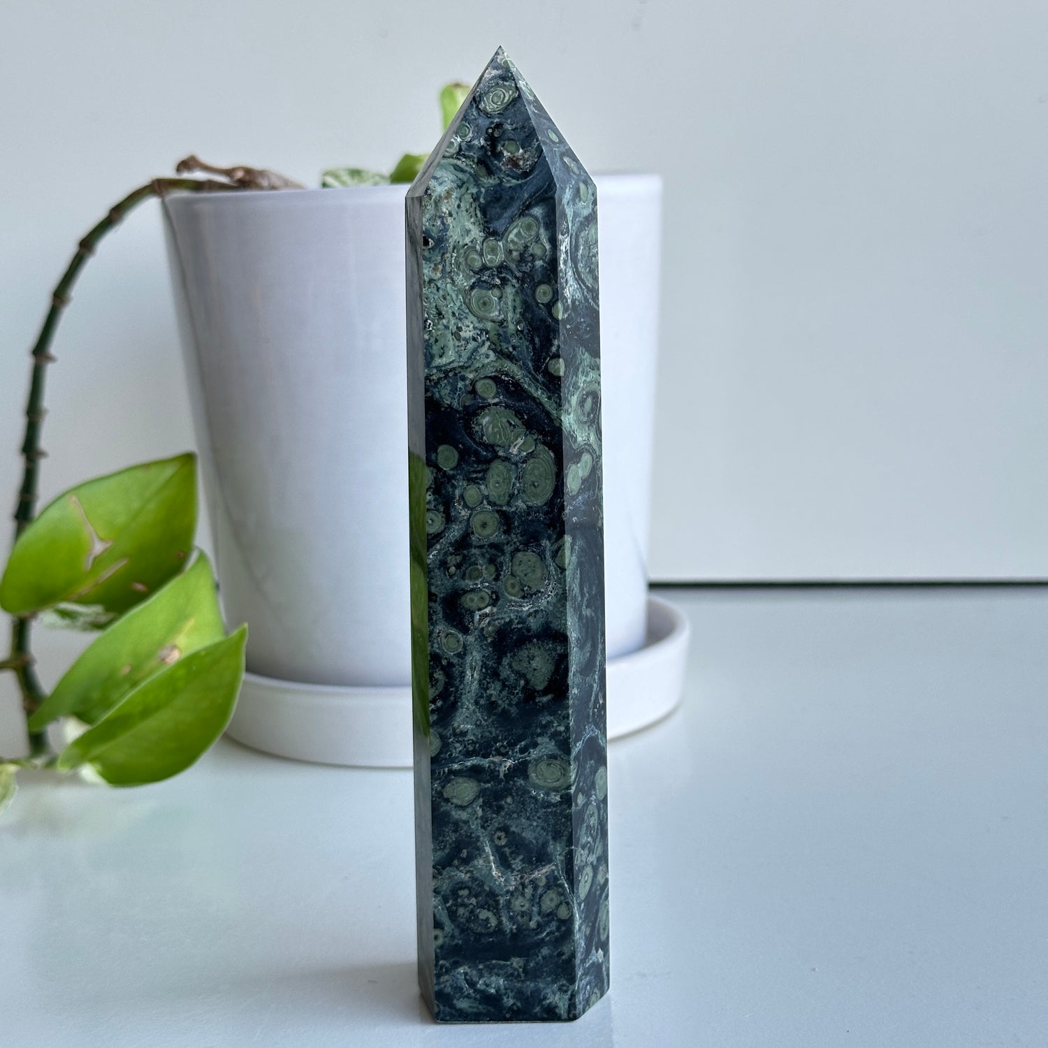 Kambaba Jasper Generator 17.9cm