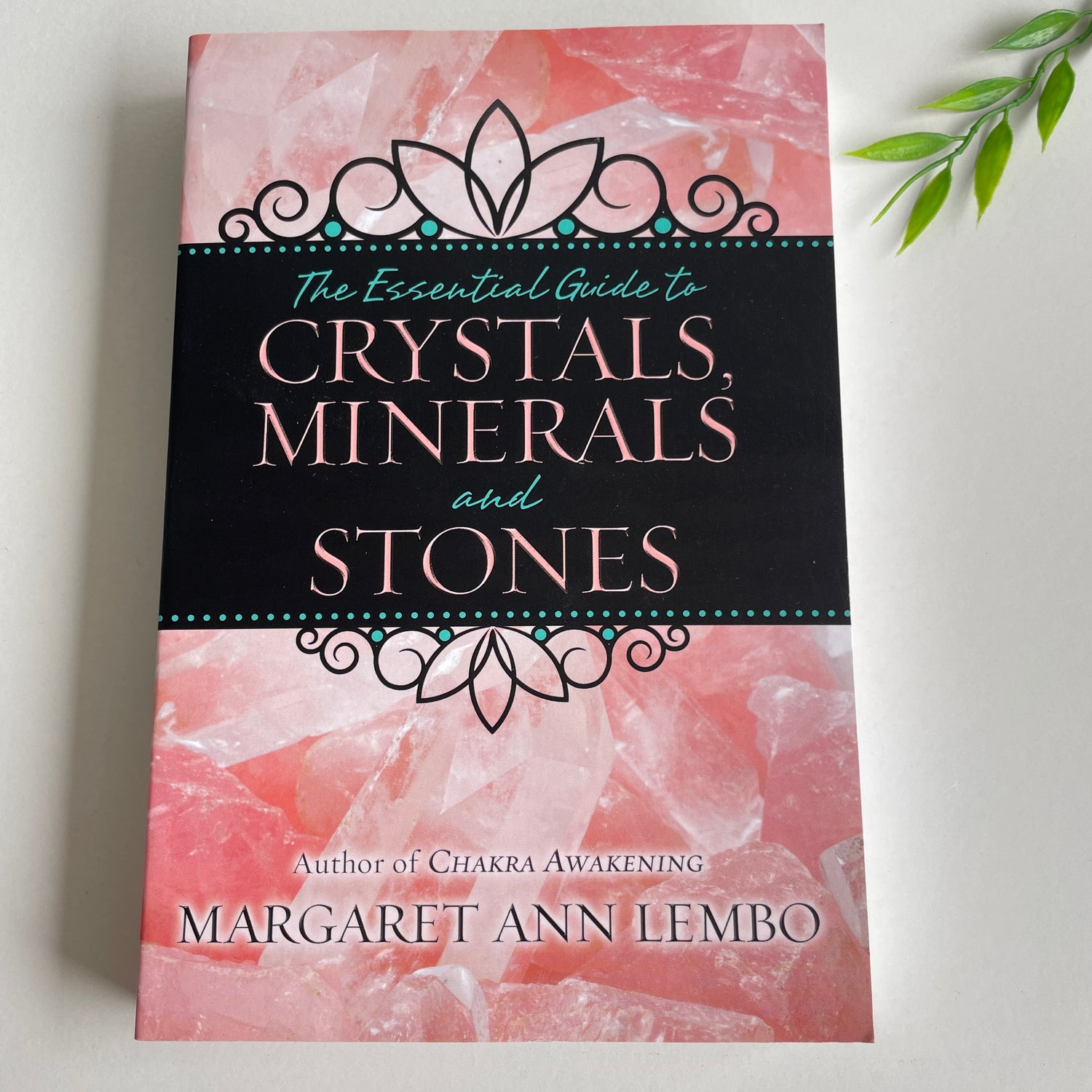 The Essential Guide to Crystals, Minerals and Stones Margaret Ann Lembo