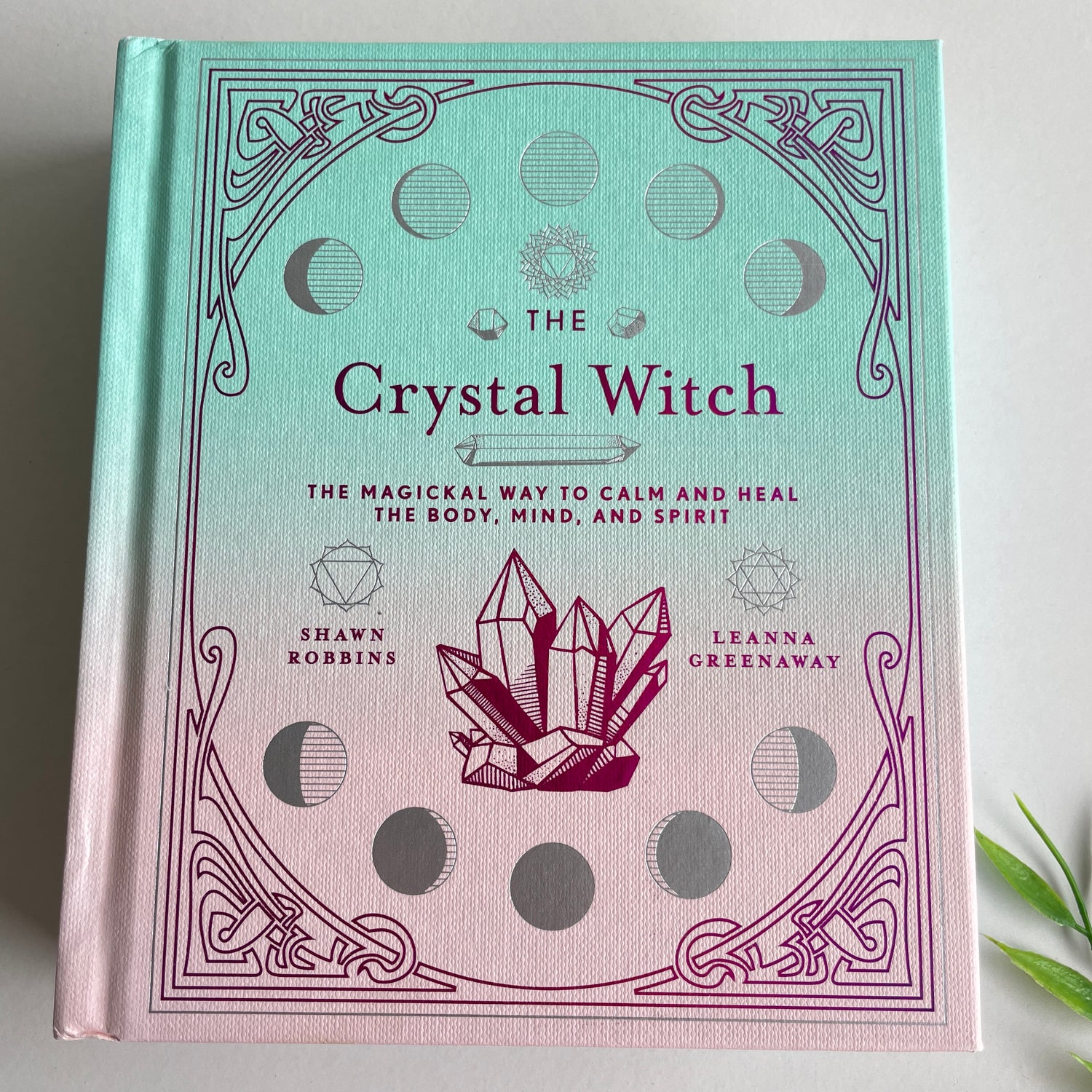 The Crystal Witch Shawn Robbins