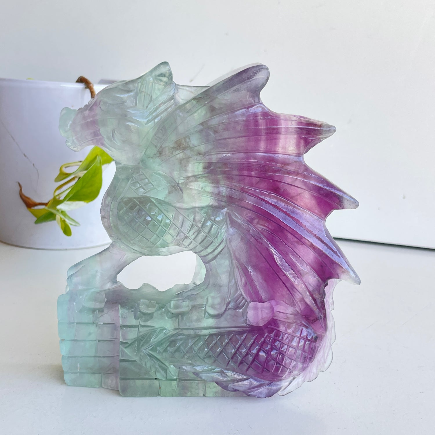 Fluorite Dragon 2