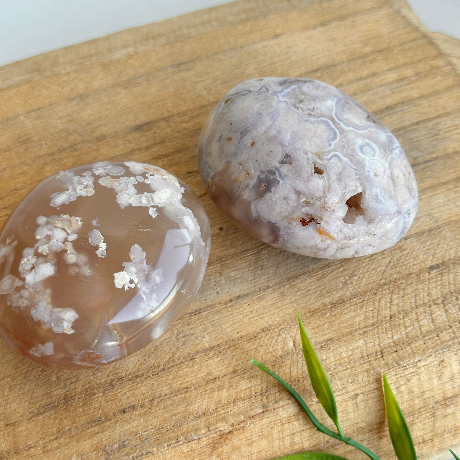 Flower Agate Palmstone Large