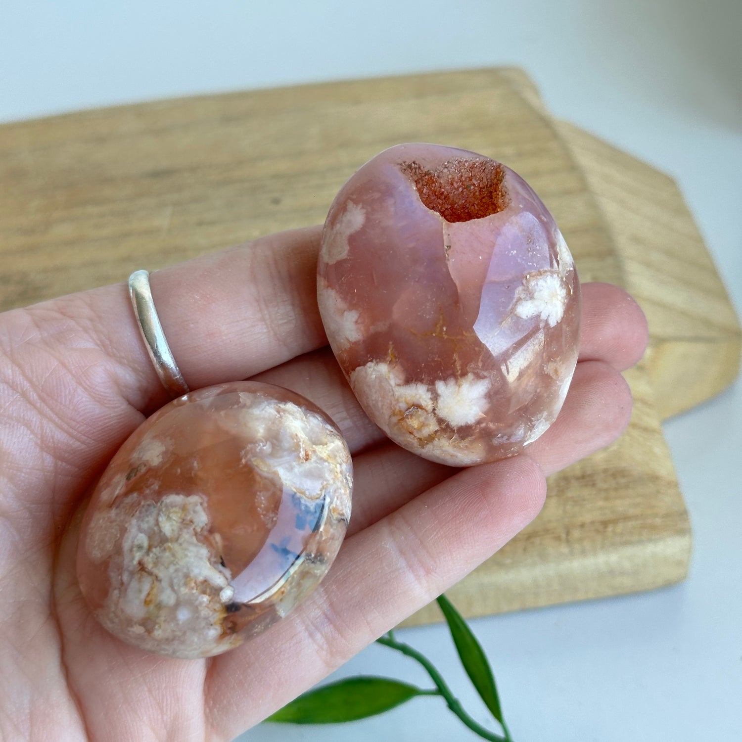 Flower Agate Palmstone Sml