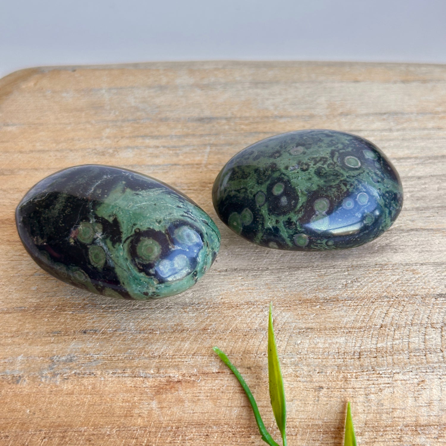 Kambaba Jasper Palmstone Mini