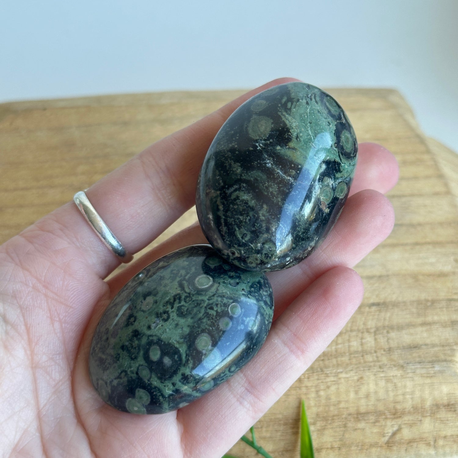 Kambaba Jasper Palmstone Mini