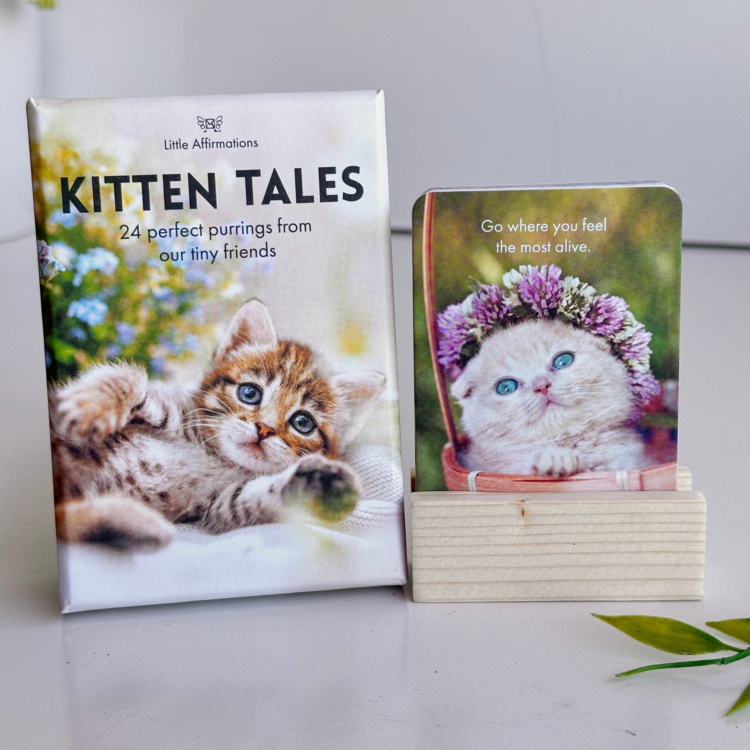 Kitten Tales Affirmation Cards