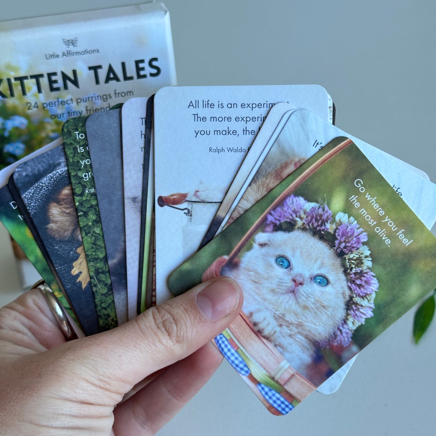 Kitten Tales Affirmation Cards