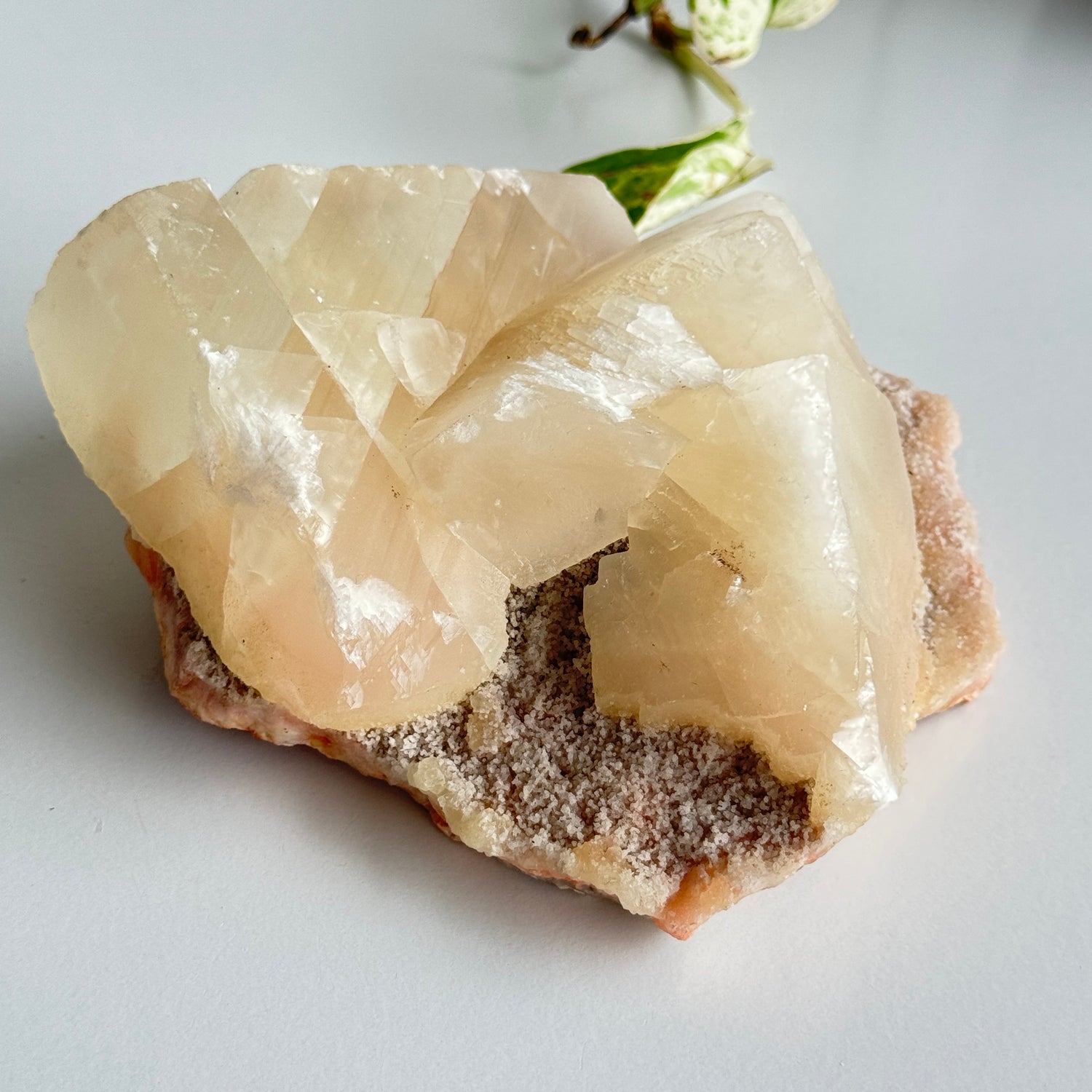 Apophyllite & Stilbite Cluster 1.032kg