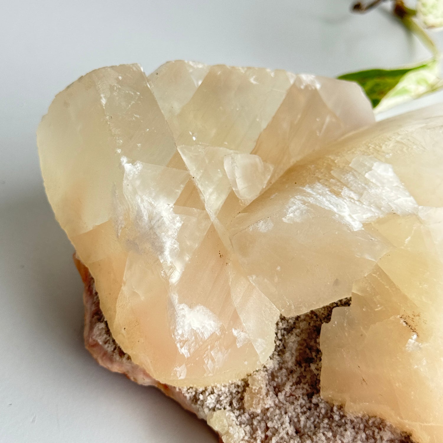 Apophyllite & Stilbite Cluster 1.032kg