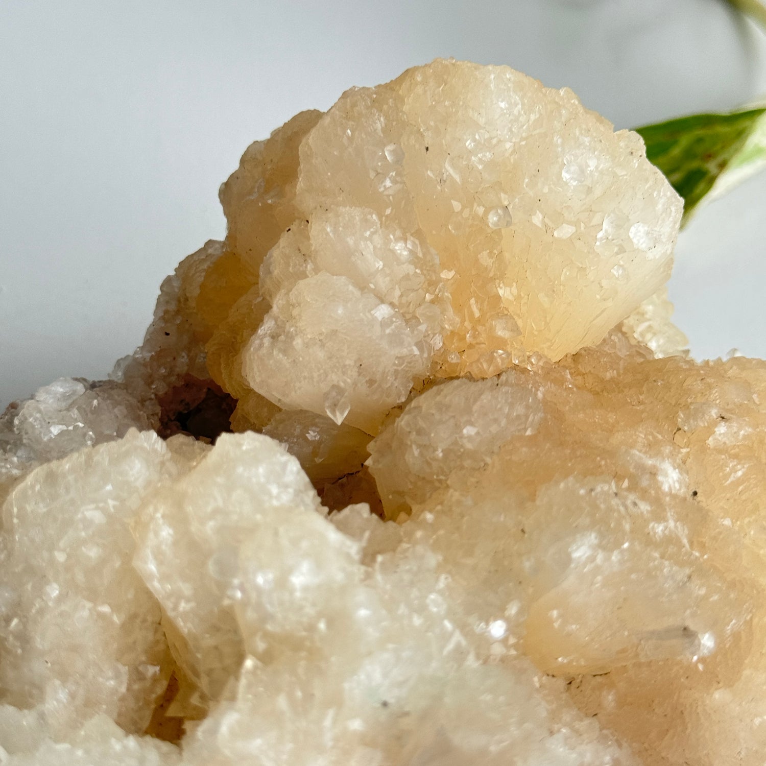 Zeolite Cluster 788g