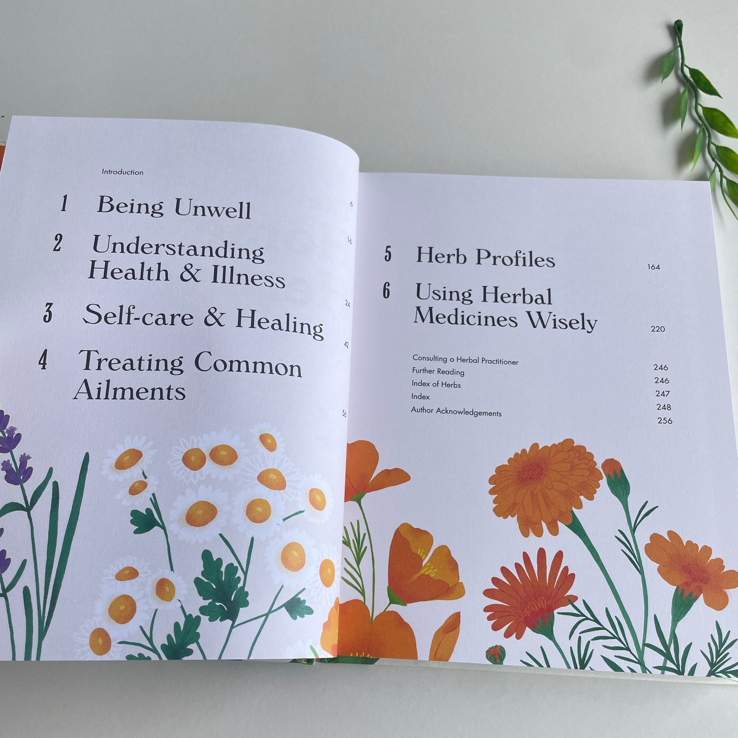 The Home Herbal Andrew Chevallier
