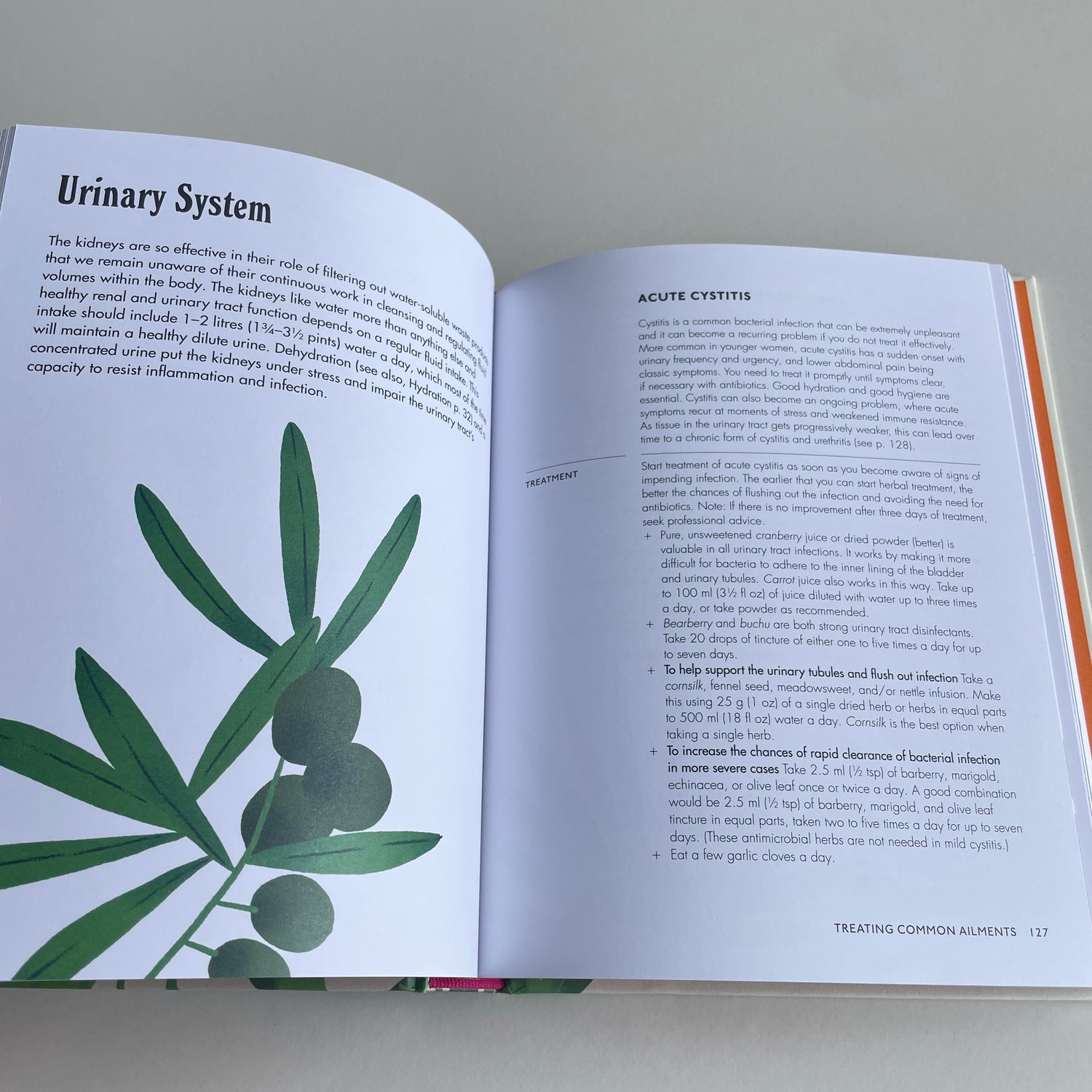 The Home Herbal Andrew Chevallier