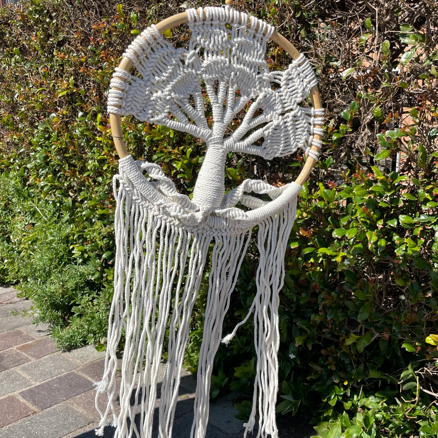 Tree Of Life Dreamcatcher MACTOLS