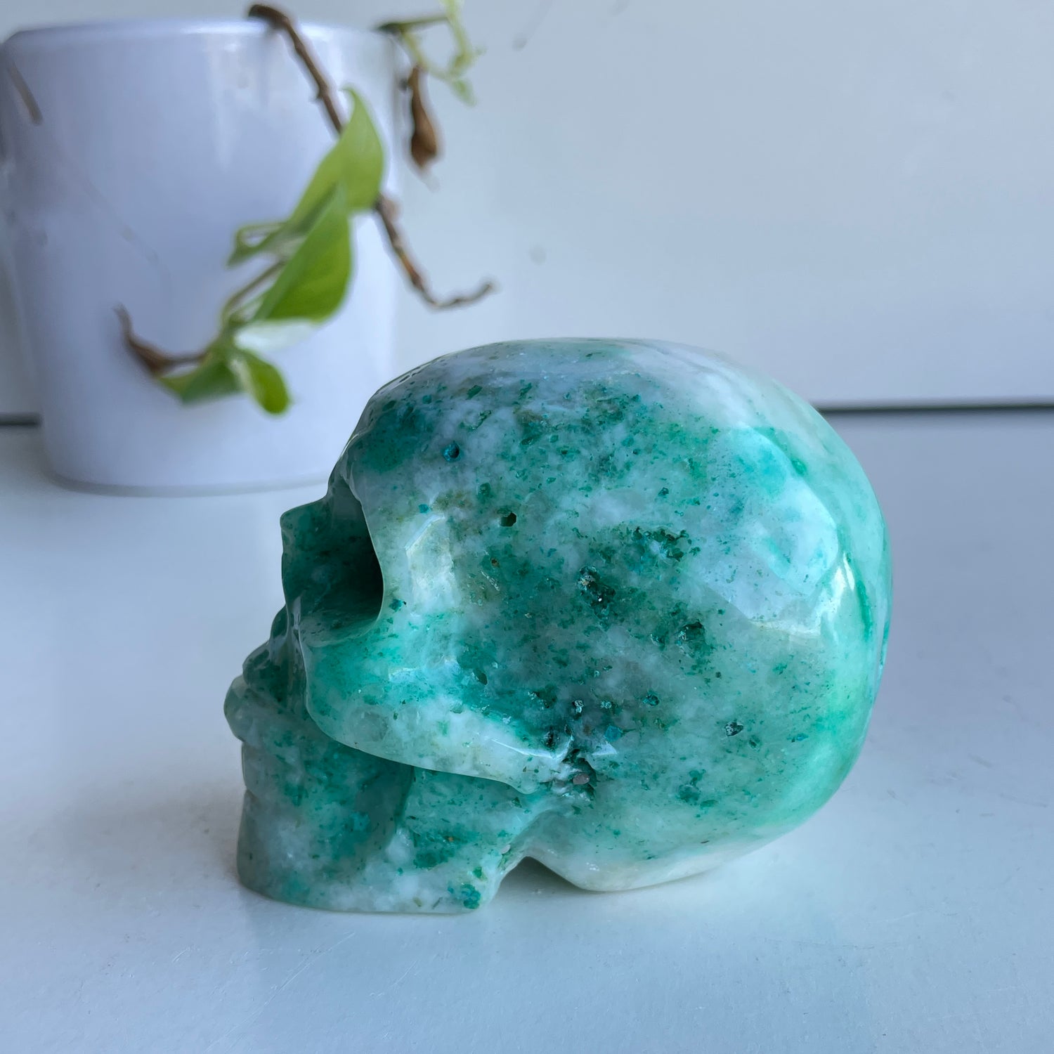 Phoenix Stone Skull 5