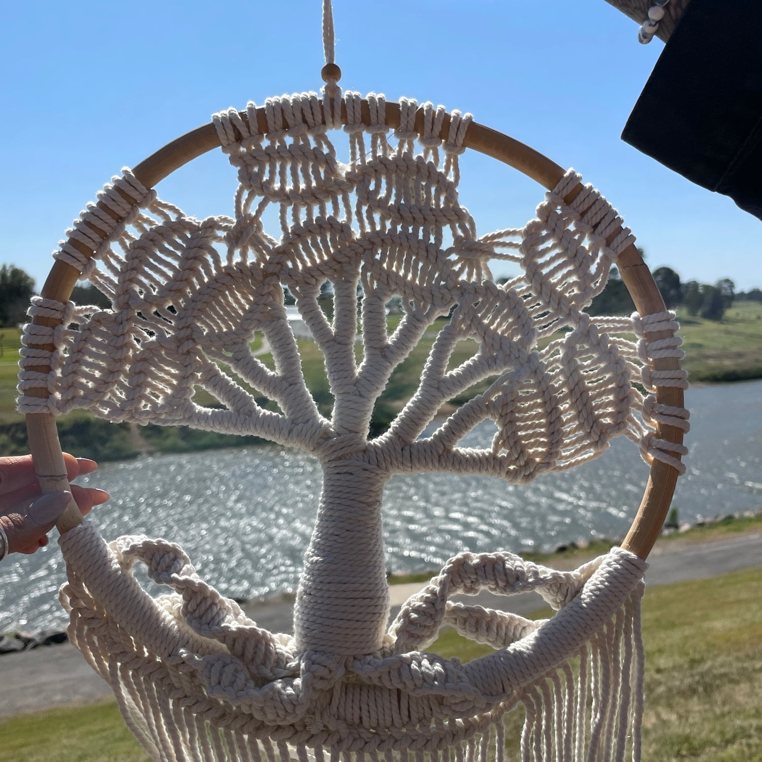 Tree Of Life Dreamcatcher MACTOLS