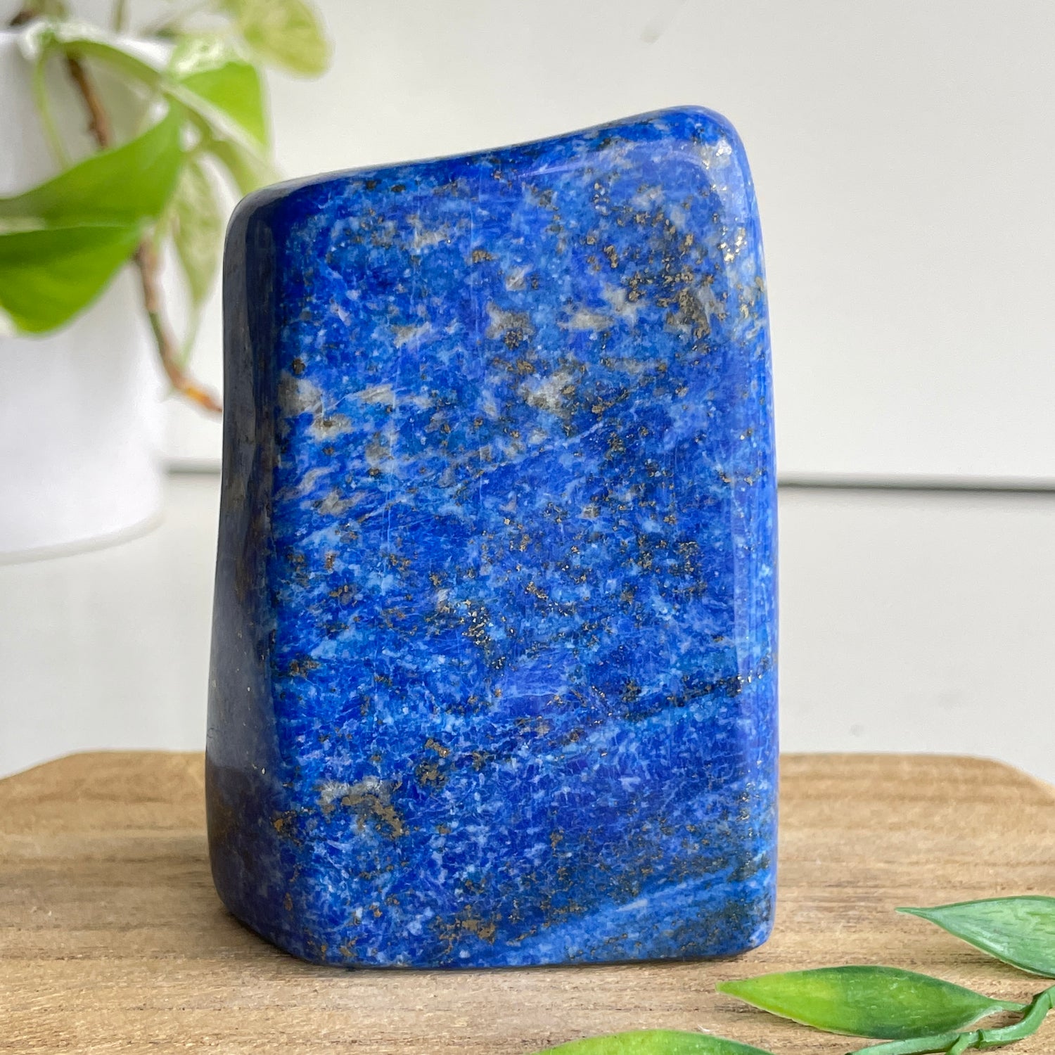 Lapis Lazuli Freeform 390g