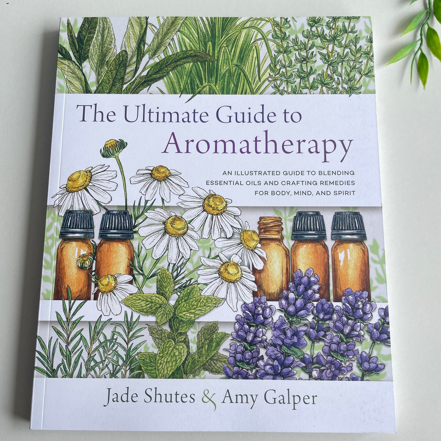 The Ultimate Guide To Aromatherapy Jade Shutes