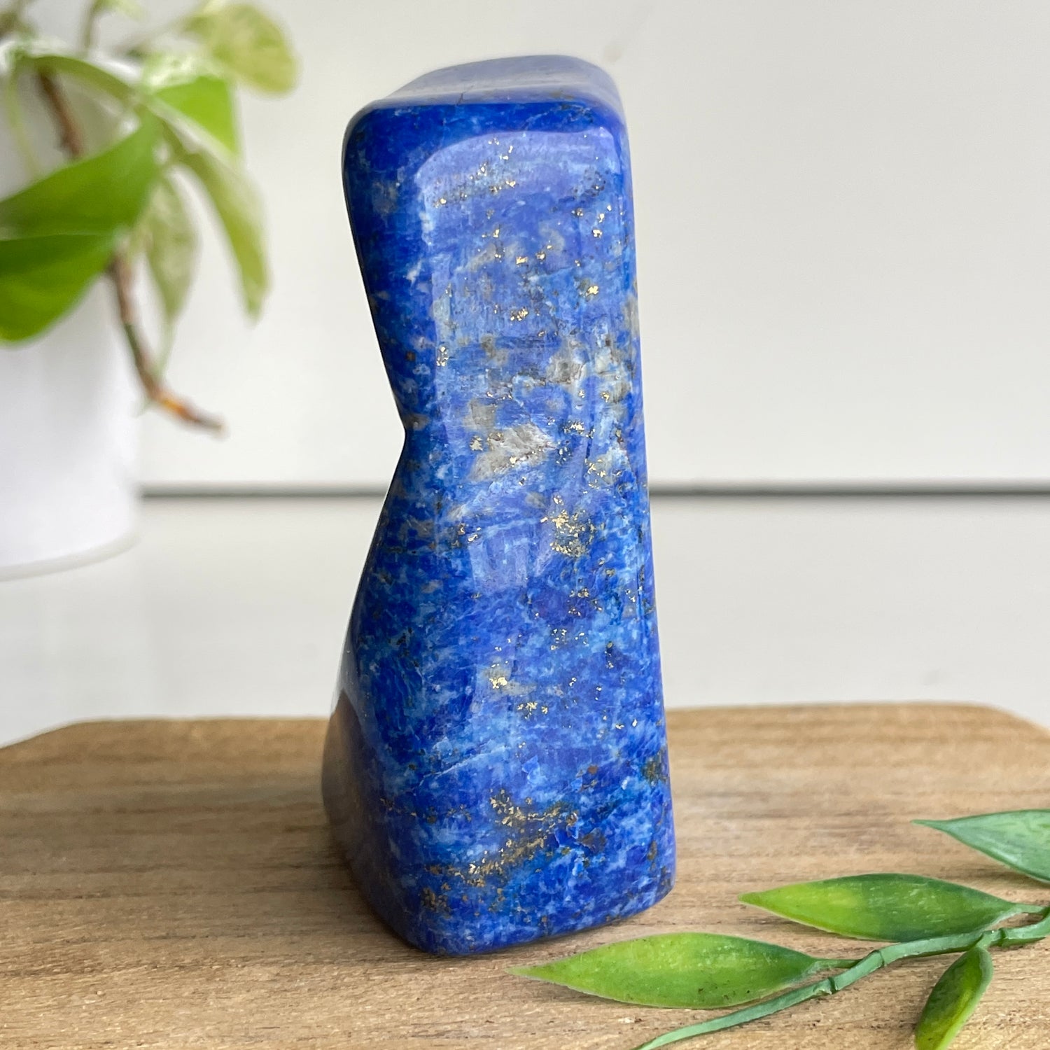 Lapis Lazuli Freeform 390g