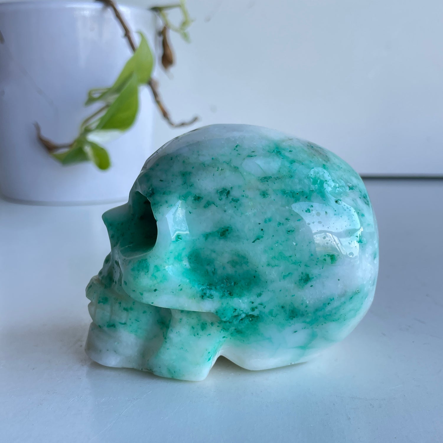 Phoenix Stone Skull 6
