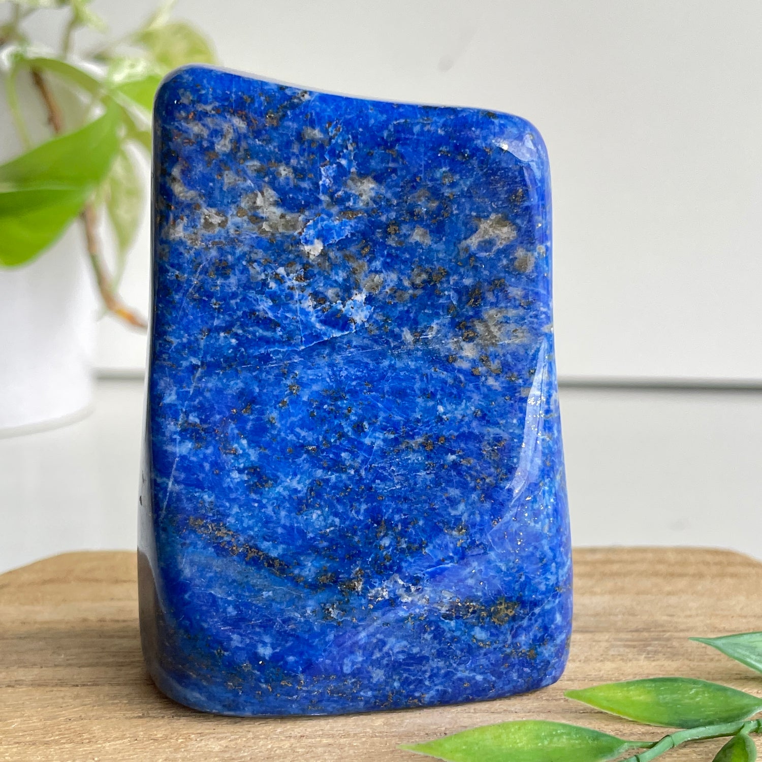 Lapis Lazuli Freeform 390g