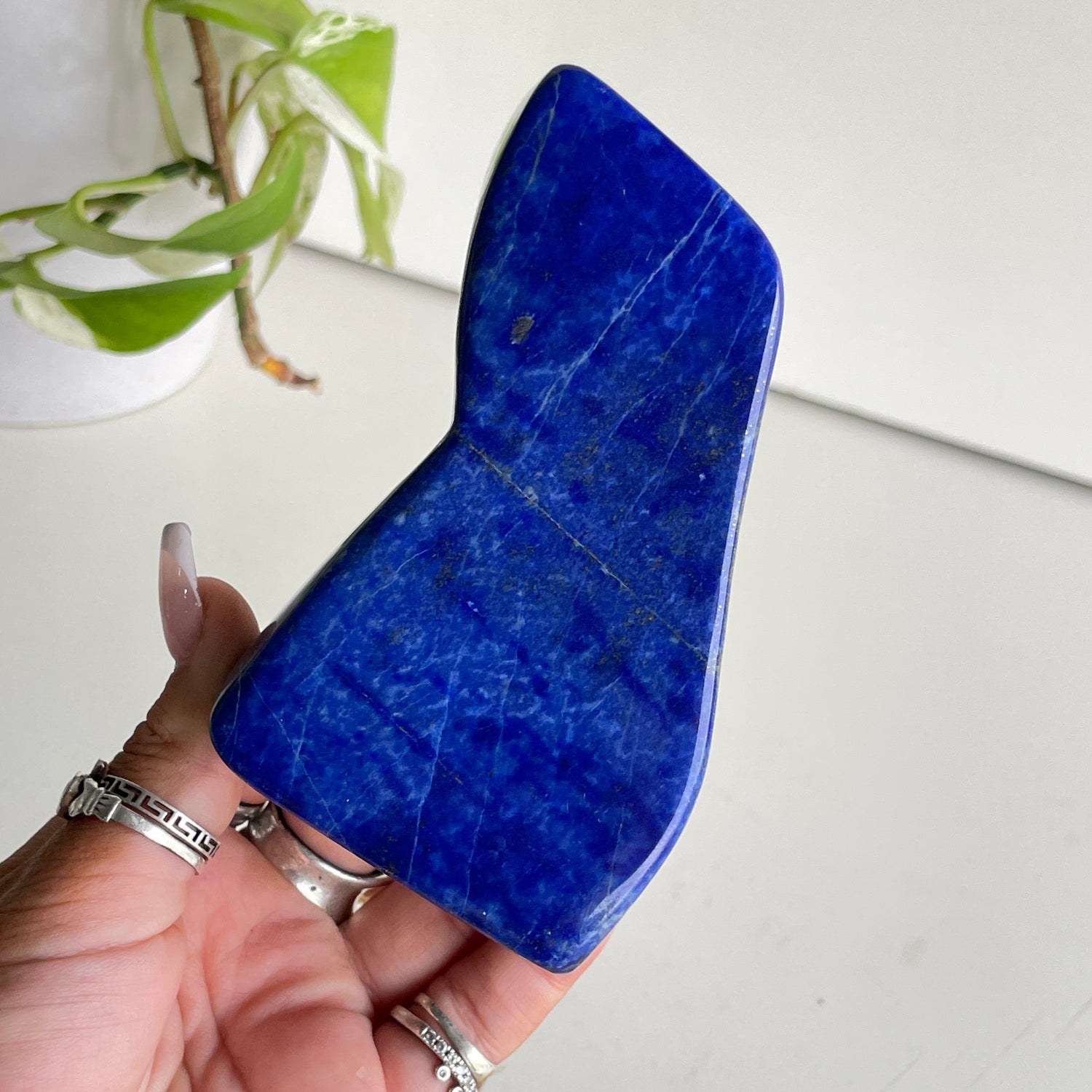 Lapis Lazuli Freeform 350g
