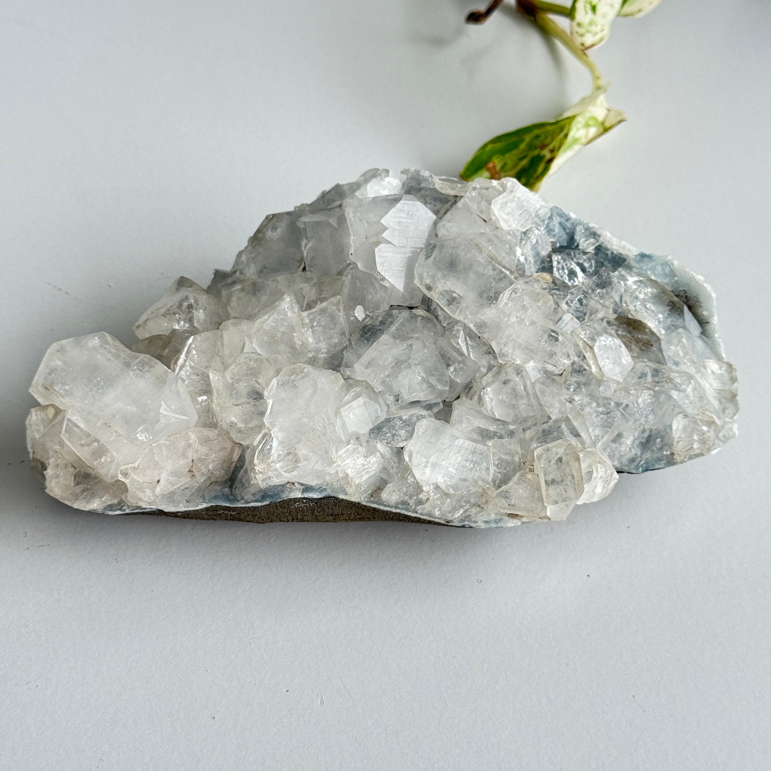 Apophyllite Cluster 790g