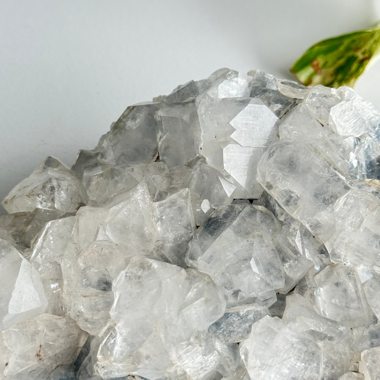Apophyllite Cluster 790g