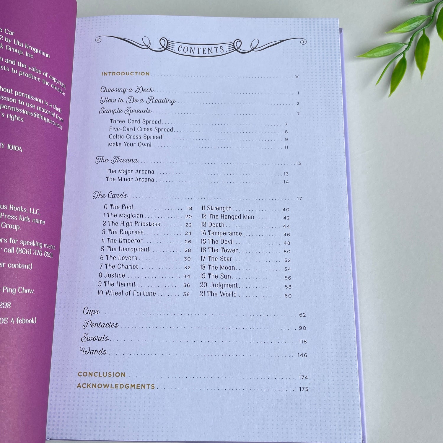 The Junior Tarot Readers Handbook Nikki Van De Car