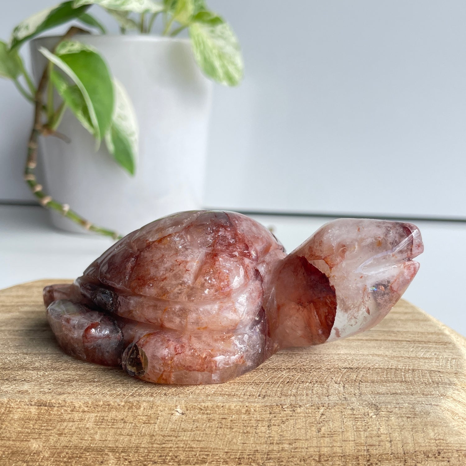 Fire Quartz Turtle 270g
