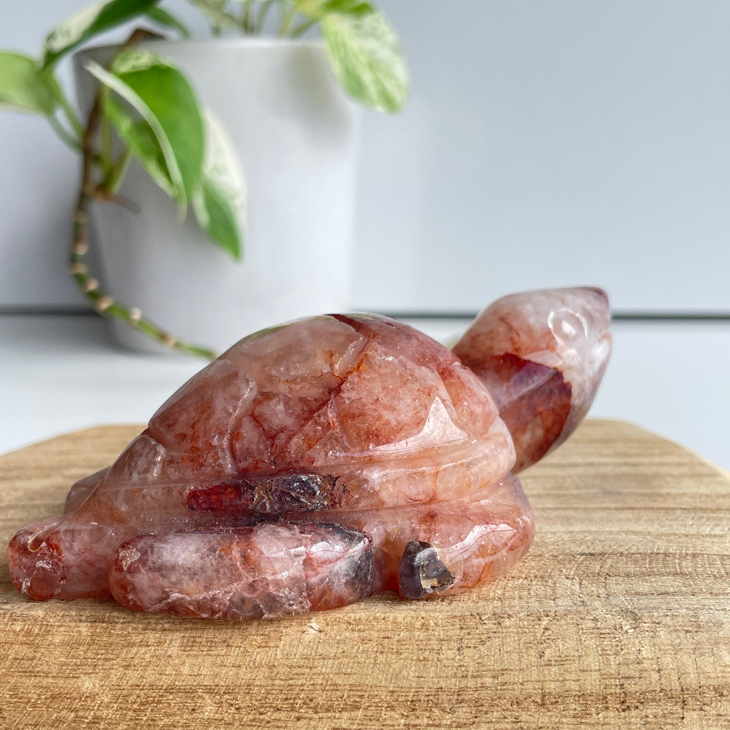 Fire Quartz Turtle 270g