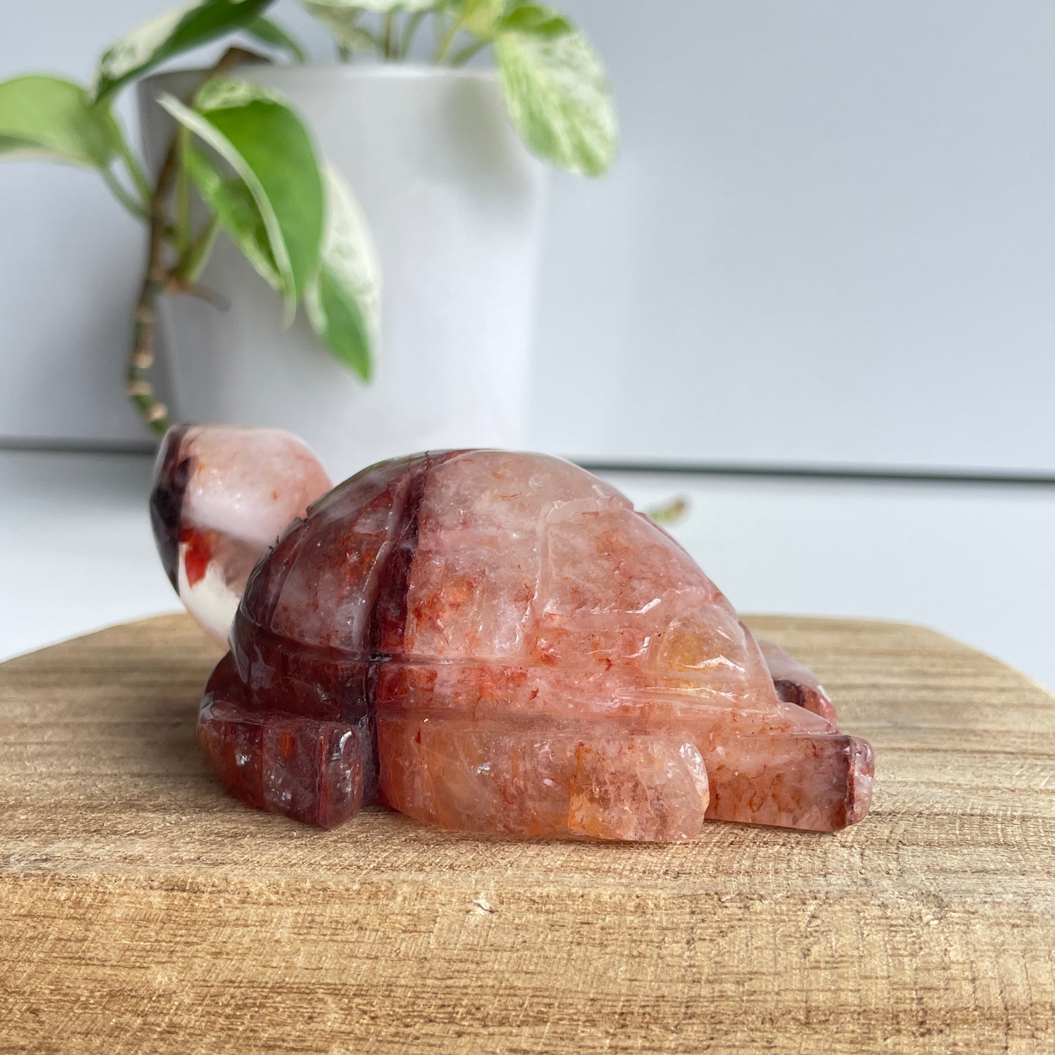 Fire Quartz Turtle 270g