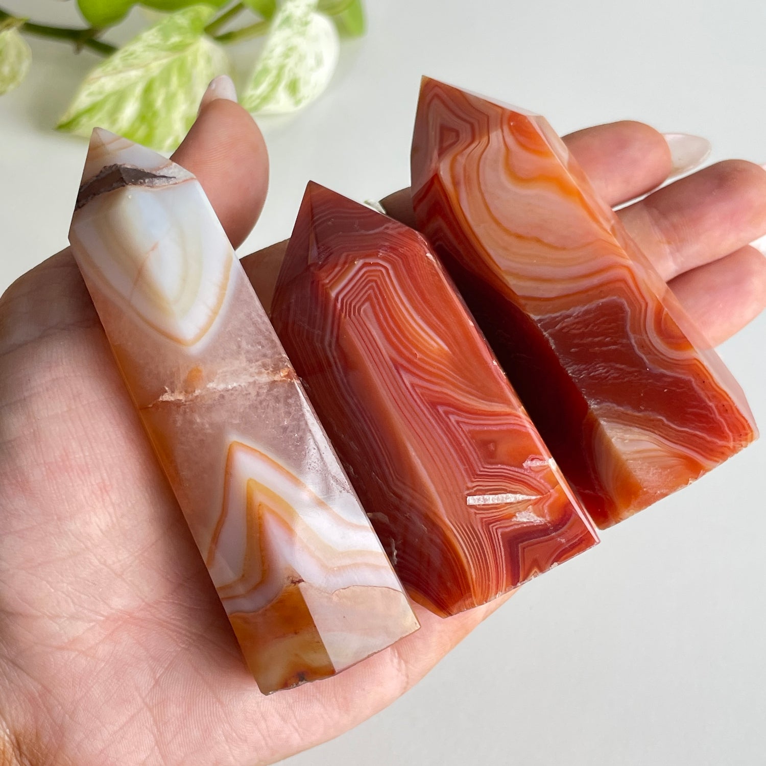 Carnelian Generator Medium